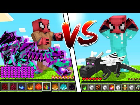 Poor Dragon vs Rich Dragon! (999 Diamonds Winner!) - Minecraft