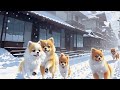 butty paws - Let It Snow (Visualizer)