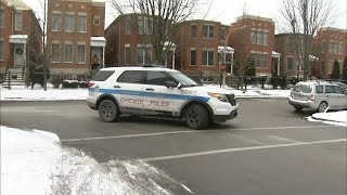 13 armed robberies in 2 Chicago neighborhoods over weekend: police
