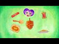 Special Agent Oso Code Name Goldfeather