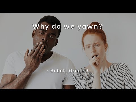 Why do we yawn?