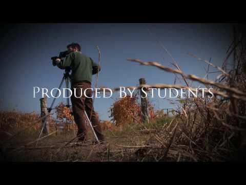 The Razorback Family: Generations Trailer