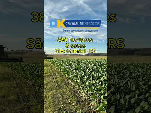 ARRENDAMENTO AGRÍCOLA EM SÃO GABRIEL/RS – PRONTO PARA PRODUZIR!
