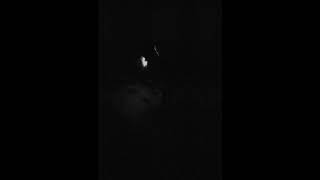 Paysage d'Hiver - Finsternis, Tod und Einsamkeit [official]