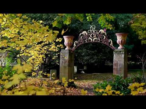 Pfälzer Geheimtipps - die Altstadt von Kirchheimbolanden