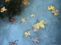 "Almost Over You" - Sheena Easton 
