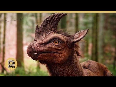 CGI 3D Animated Short: "Cervus Rostratus The Beaked Deer  " by Animationsinstitut | The Rookies