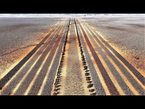 FIFTEEN LINES EVERY ANCIENT UNIT vs 1 MILLION ROMAN GENERALS | Ultimate Epic Battle Simulator 2