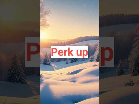 Perk up meaning