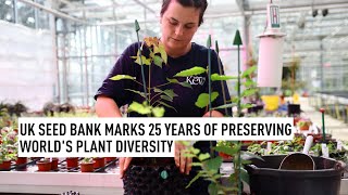 Millennium Seed Bank marks its 25th anniversary