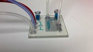ALine Inc. Organ On Chip Demonstration - Pumping across Two Chamber Flow Cell