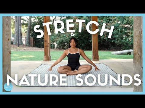Stretch + Nature Sounds: Full Body Stretch w/ Relaxing Nature + Summer City ASMR: Cicadas, trains