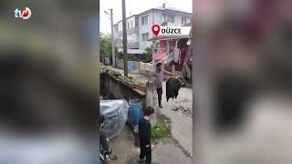 Köpeklerden Kaçtı, Direkte Mahsur Kaldı