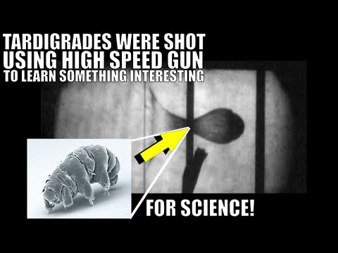 Scientists Fire Tardigrades Out of a Gun To Learn About Panspermia