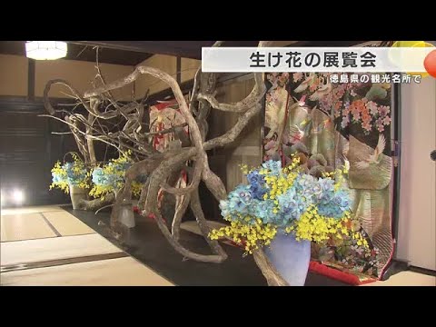 ひなまつりを花で表現　観光名所「うだつの町並み」で生け花展　假屋崎省吾さんの華やかな作品並ぶ　徳島・美馬市