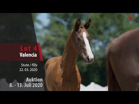 Online Auktion 9. - 13. Juli: Lot 4 Valencia Stute v. Vitalis - Krack C