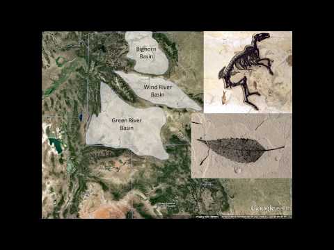 The Warm Fuzzies: Mammals and Climate Change in the Eocene of North America