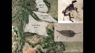 The Warm Fuzzies: Mammals and Climate Change in the Eocene of North America