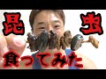 【閲覧注意】グロ過ぎる“昆虫食”を食べる！ 意外な高タンパク食品であるそのお味はいかに？！