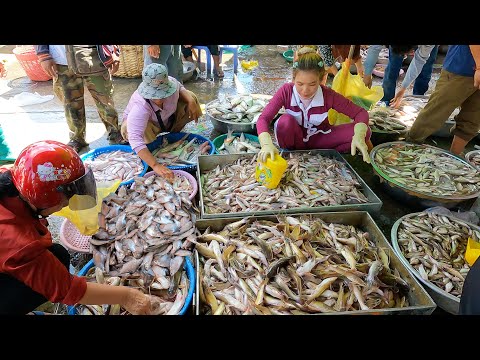 The Country of Fish Wholesale & Largest Distribution Site - Fish Market & People Activities