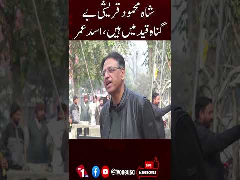 شاہ محمود قریشی بے گناہ، اسد عمر