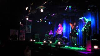 Top Cats - Put your cat clothes on