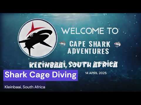 FIORINA 161 - I Want To Know What Love Is (feat. Alexandra Gerbey) (OFFICIAL OCEAN ADVENTURE TAPE)