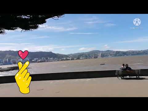 @SUMMER🌞☀️@Oriental Bay, Wellington city NZ.