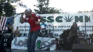 Prospect Hill - New Hit, Rollercoaster