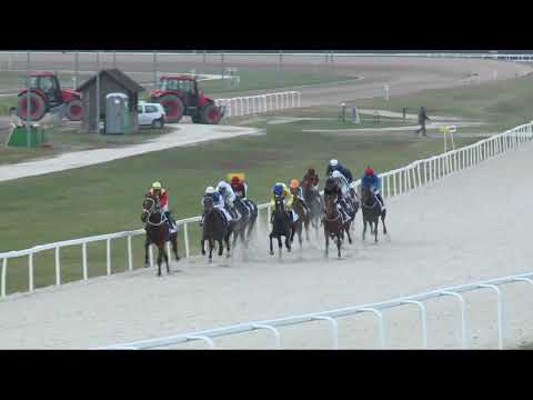 2017.11.19. 2. futam - NYERETLEN KÉTÉVESEK VERSENYE (IV.kat.) (szintetikus pálya)