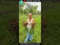 Awpl Agriculture Product Result Bhuvita Awpl Result Pgpr Result Awpl Shorts
