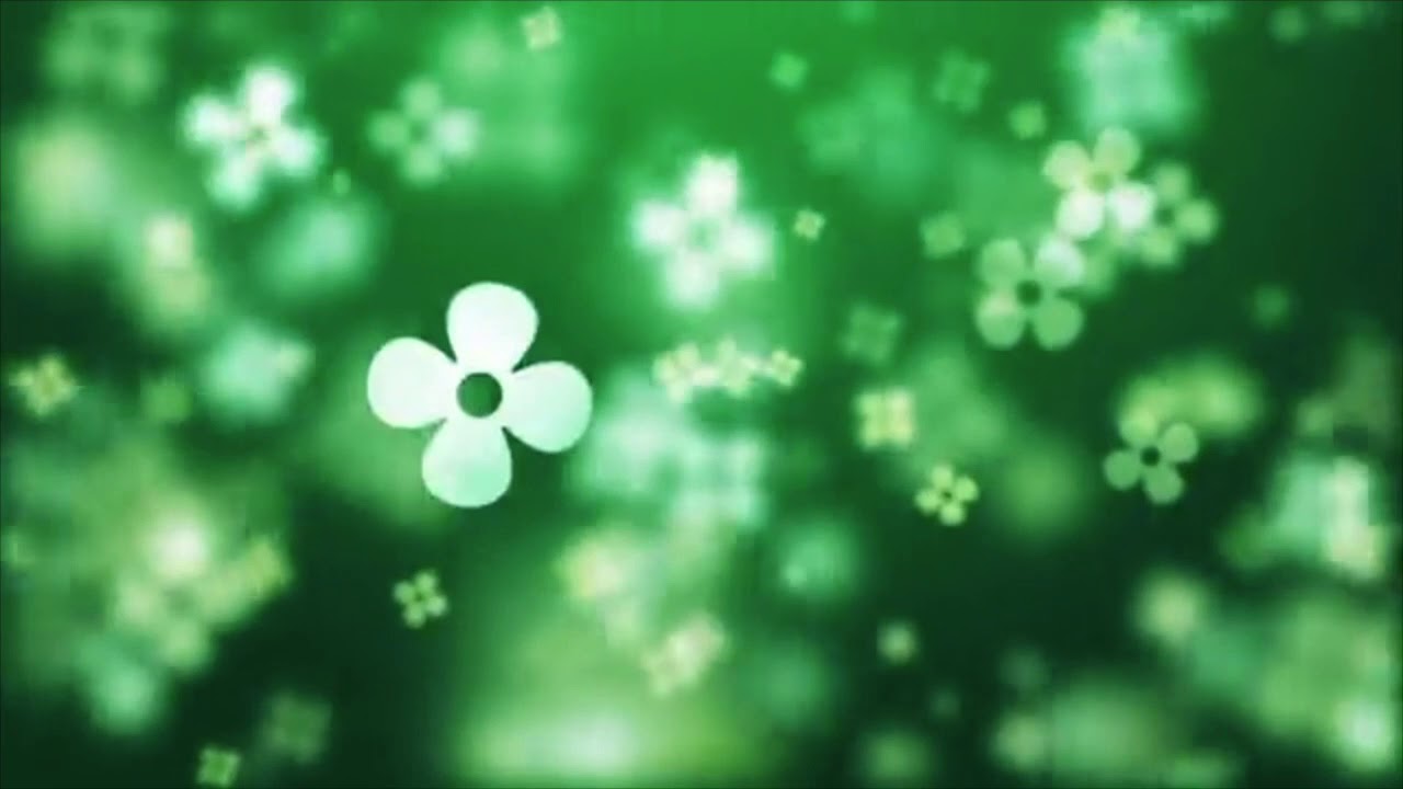 Maurizio Cinquini-16