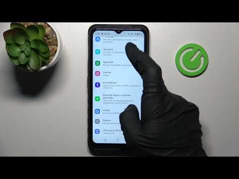 Cómo activar opciones para desarrolladores en CAT S53