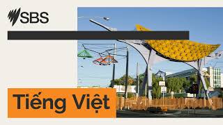 Văn hóa nghệ thuật: Hợp xướng Con sáo sang sông | SBS Vietnamese - SBS Việt ngữ