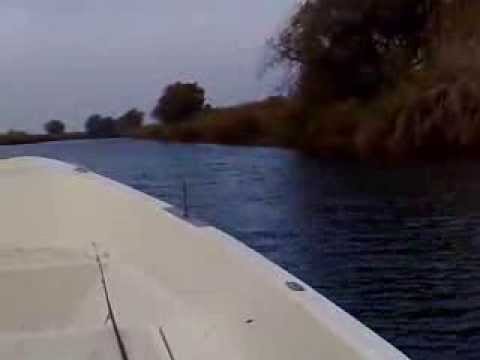 delta dunarii plimbare cu barca pe holbina tulcea