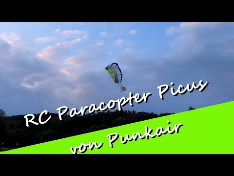 RC Paracopterus Picus by Punk Air Snake - a flying dream