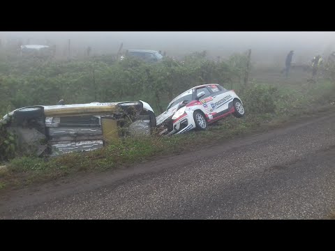 Rally 2 valli  2020  big crashes e mistakes