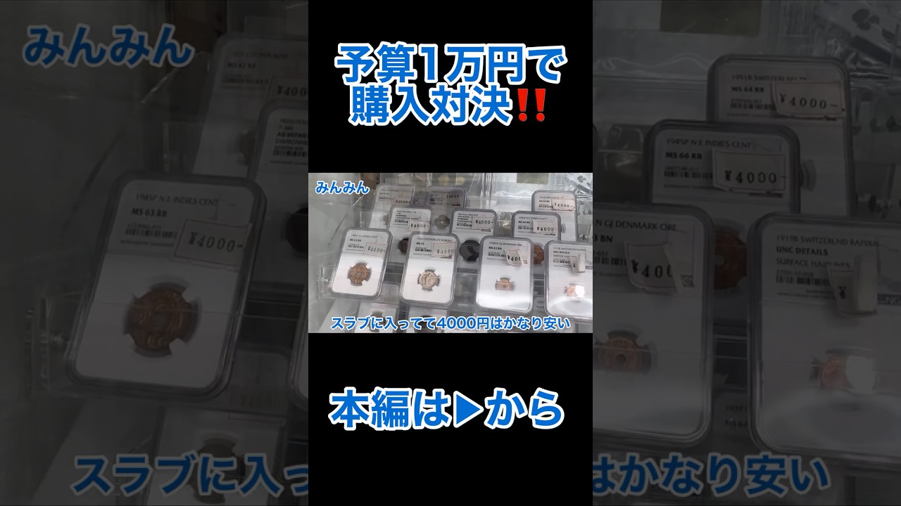 予算1万円で面白いコインを買え！購入対決