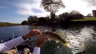 preview picture of video 'Kayaks and Greenbacks - April 11 and 12, 2015 - Lake Wylie NC/SC'