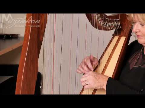 Muzikkon McHugh Harp 38 String In Rosewood Round Back Played By Ann Tuitte