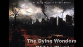 The Duskfall Tribute