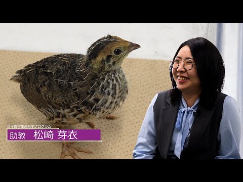 広島大学生物生産学部　教授に聞く　松崎 芽衣 助教