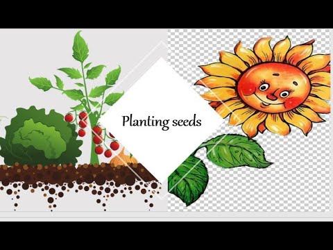 Vidya Chikte - Mindful Me -Joyful Me