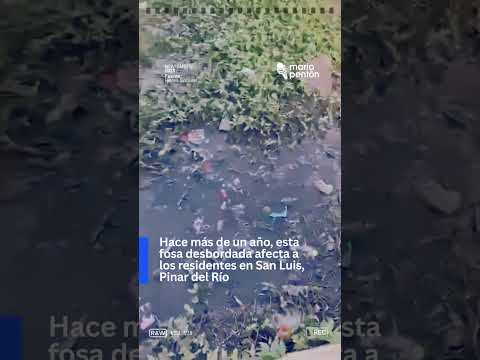 ❌Hace más de un año, esta fosa desbordada afecta a los residentes en San Luis, Pinar del Río