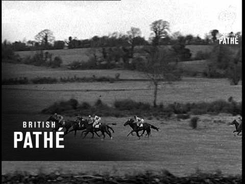 Punchestown Races (1934)