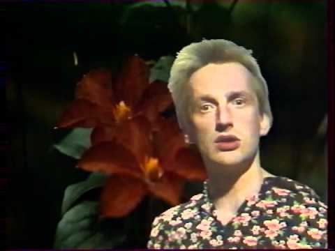 Onu Bella "Armukeste kari"