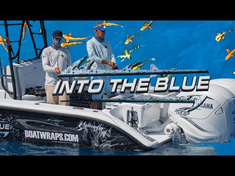 FLY FISHING for *COBIA in KEY WEST* | Catching BIG FISH on a FLY ROD | Into The Blue Fishing