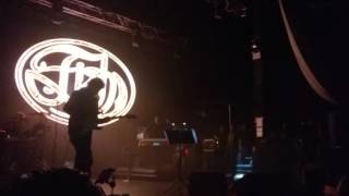 Fish   Pipeline Intro Newcastle 2016