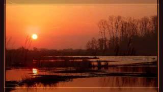 Flying Solo - Ilse Delange