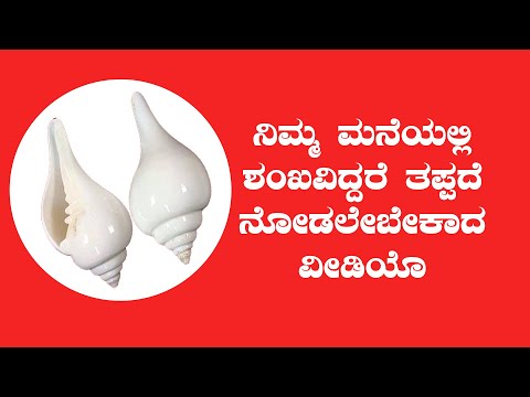 Benefits of Keeping shankh at home